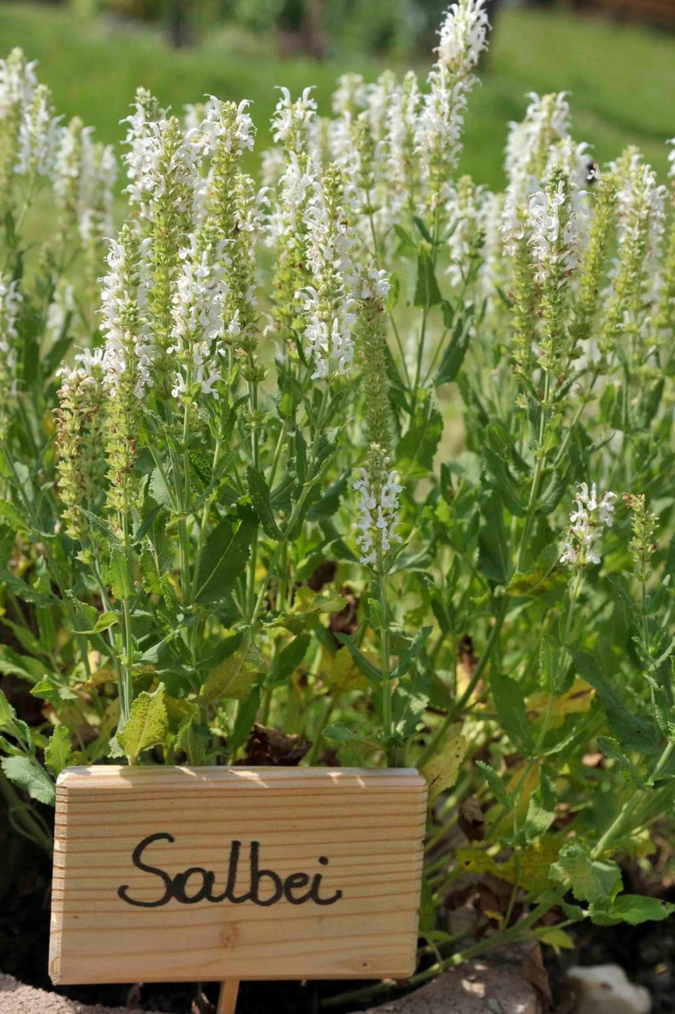 Bio-Bauernhof Reitmayrgut 골데그 외부 사진